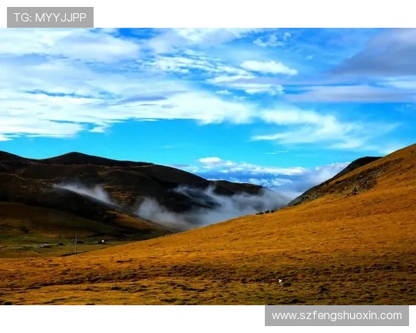 崔永熙的艺术之路与人生哲学探讨：从初心到巅峰的心灵旅程